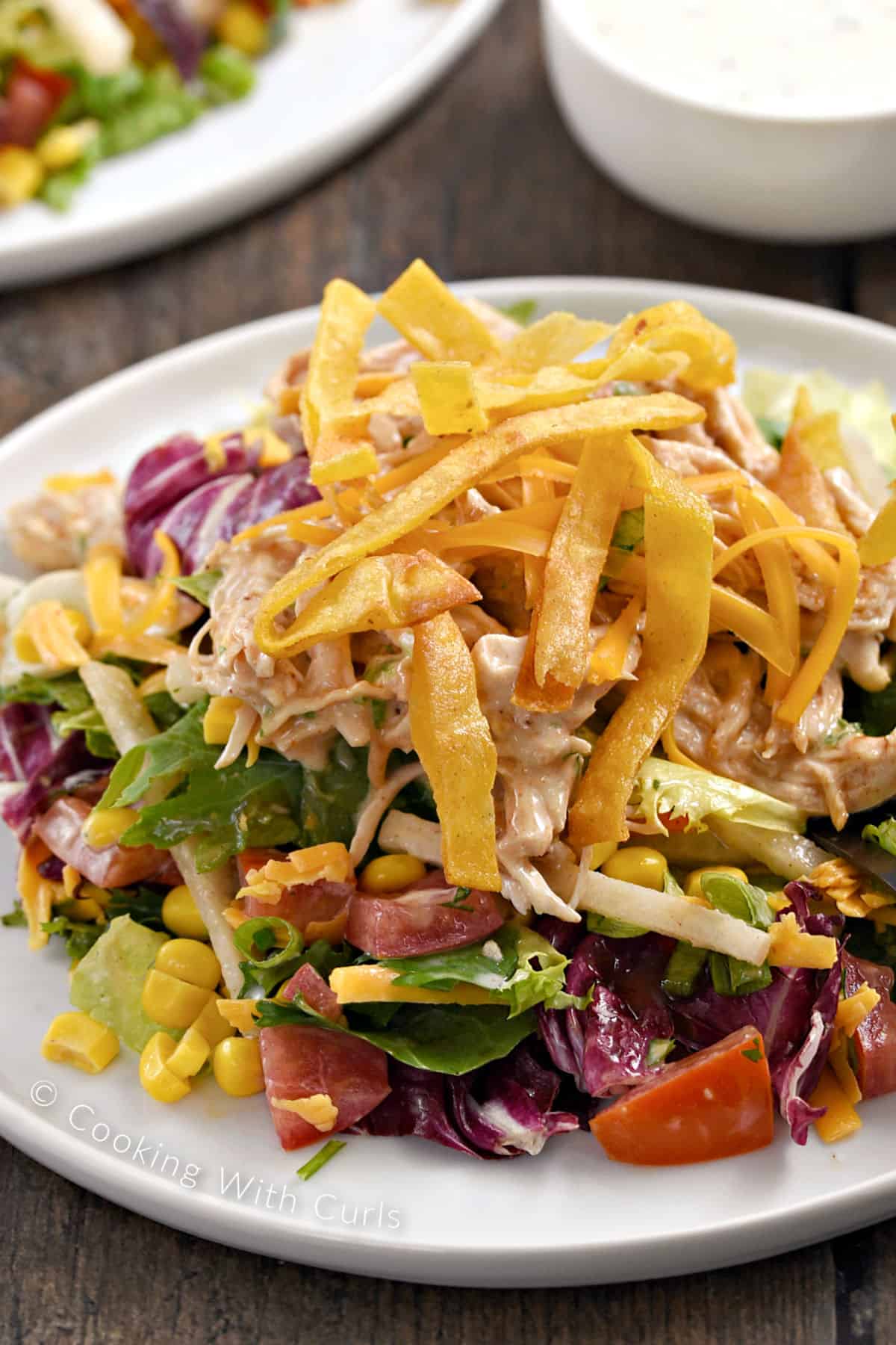 Mixed greens, tomato, corn, jicama strips, chicken, and tortilla strips piled up on a plate with a bowl of dressing in the background. 