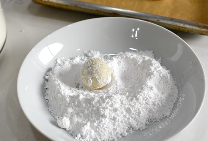 One baked cookie in a bowl of powdered sugar.