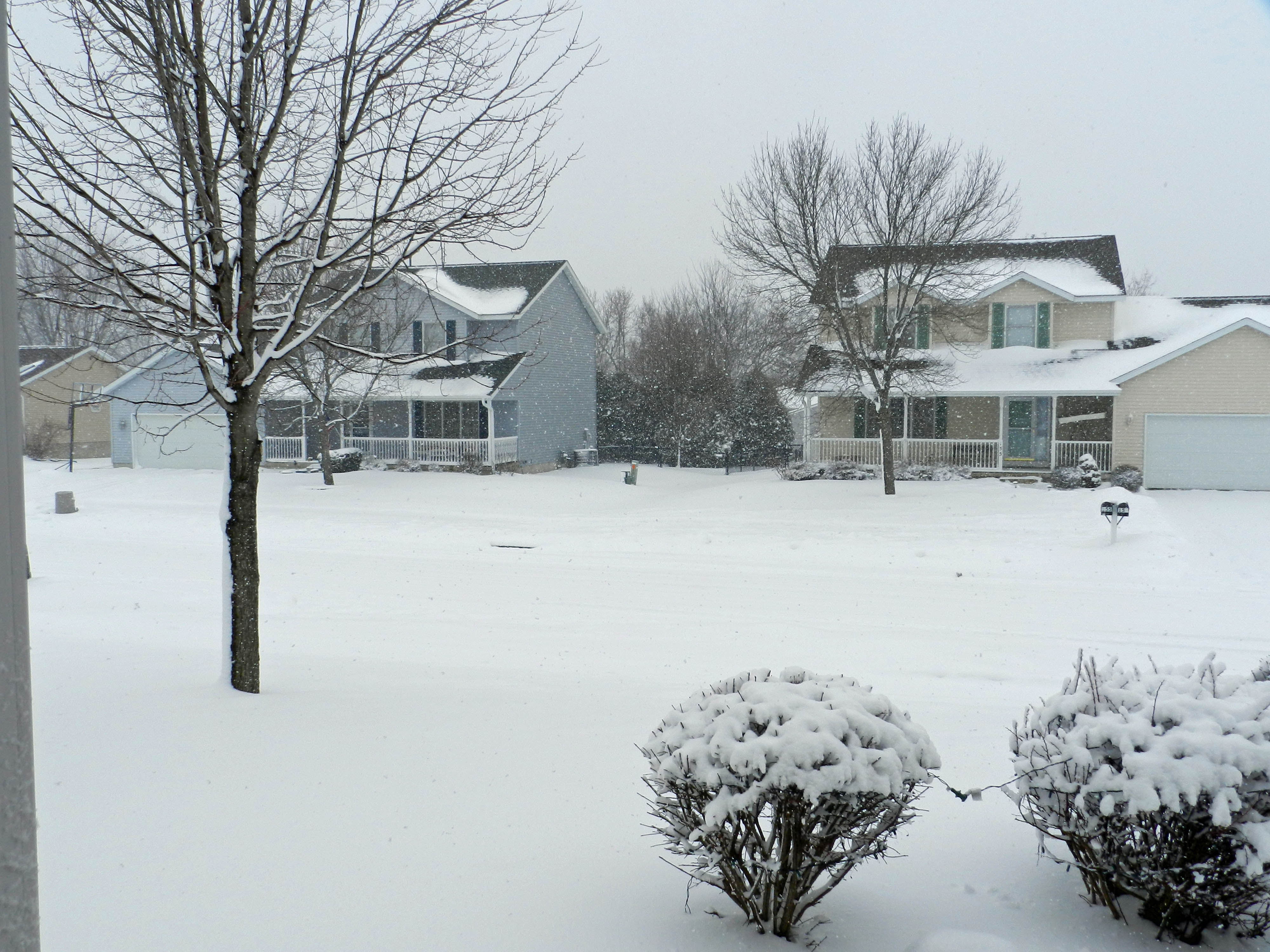 snow covered front yard and street