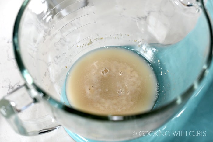 Water, yeast and honey in a large glass mixing bowl cookingwithcurls.com