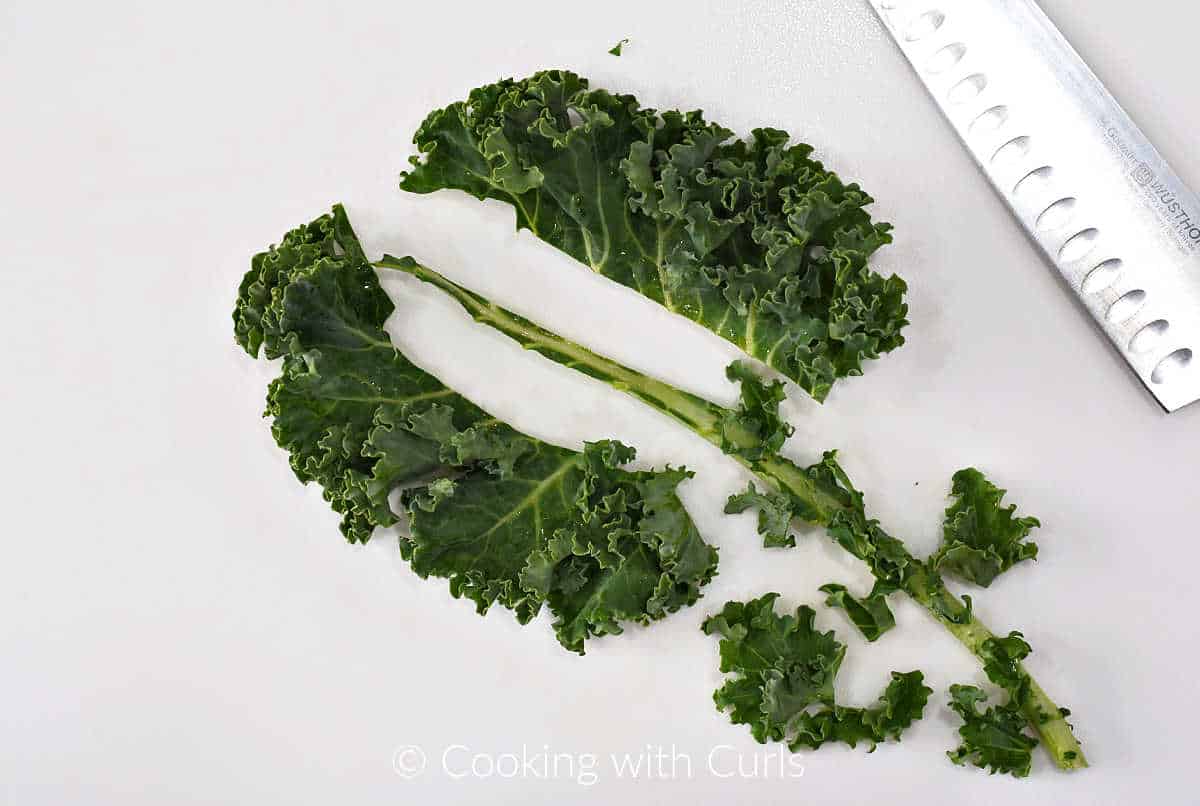 Kale stalk with rib removed with a knife on the side.