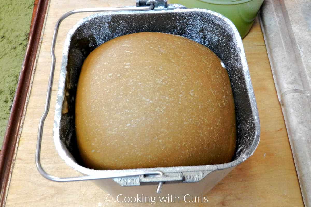 Proofed gingerbread cinnamon rolls dough in a bread machine.