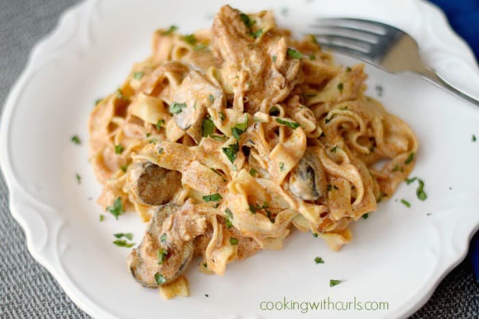 Chicken Paprikash with mushrooms served over noodles on a white plate