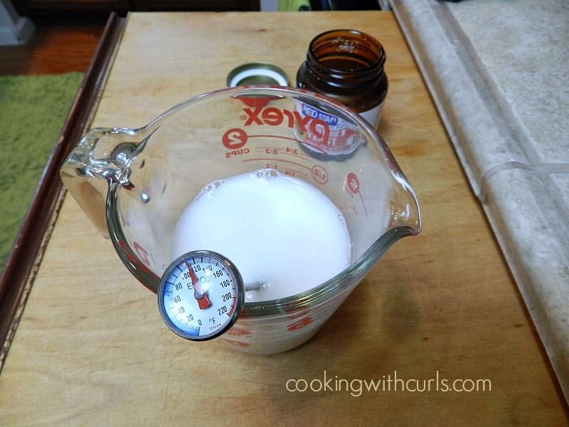 Yeast Dough thermometer cookingwithcurls.com