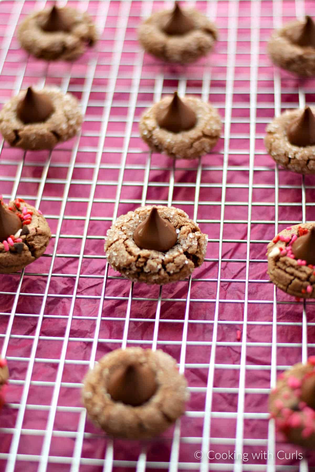 Chocolate Peanut Butter Blossom Cookies lined up in rows on a wire cooling rack.