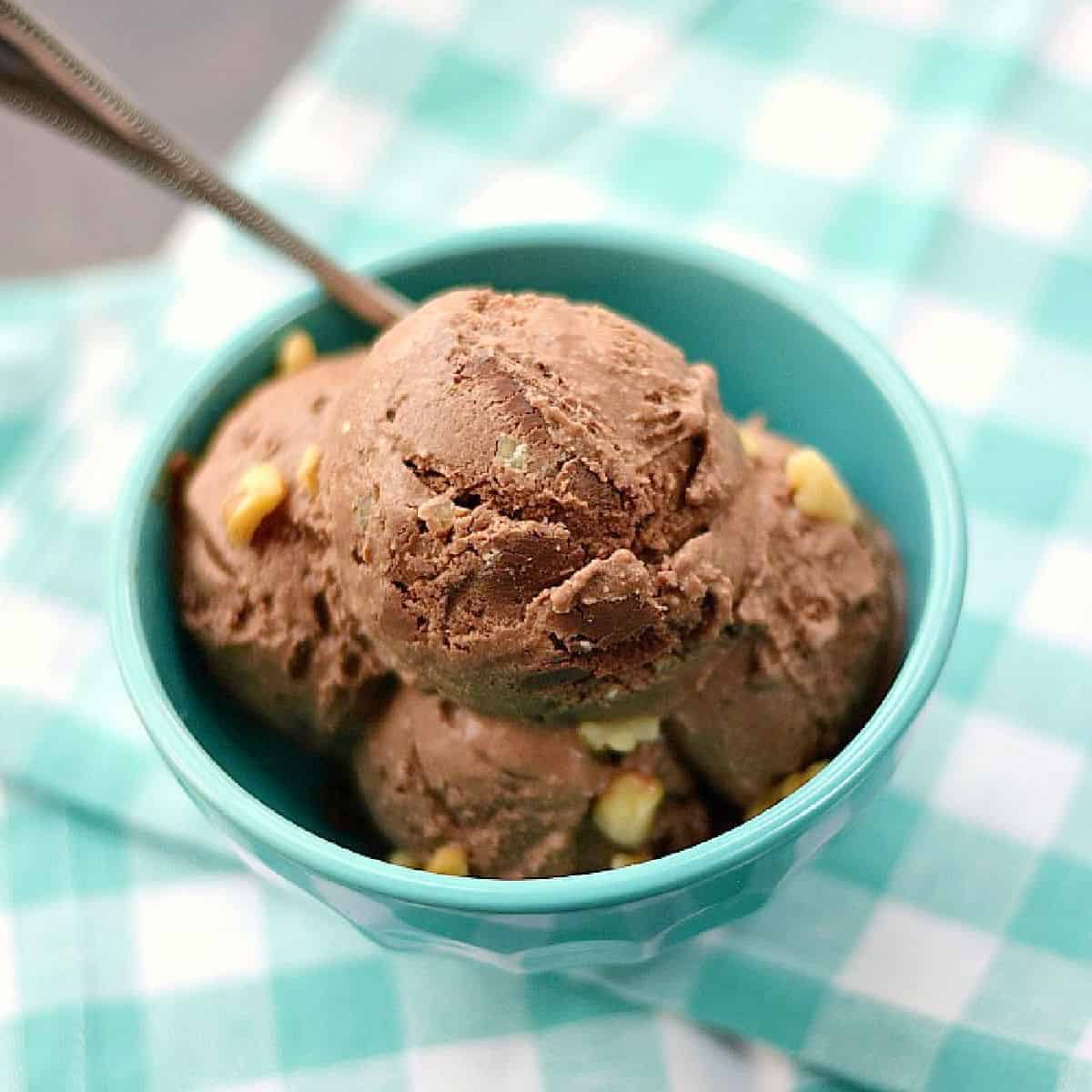 Vegan Chocolate Walnut Fudge Ice Cream