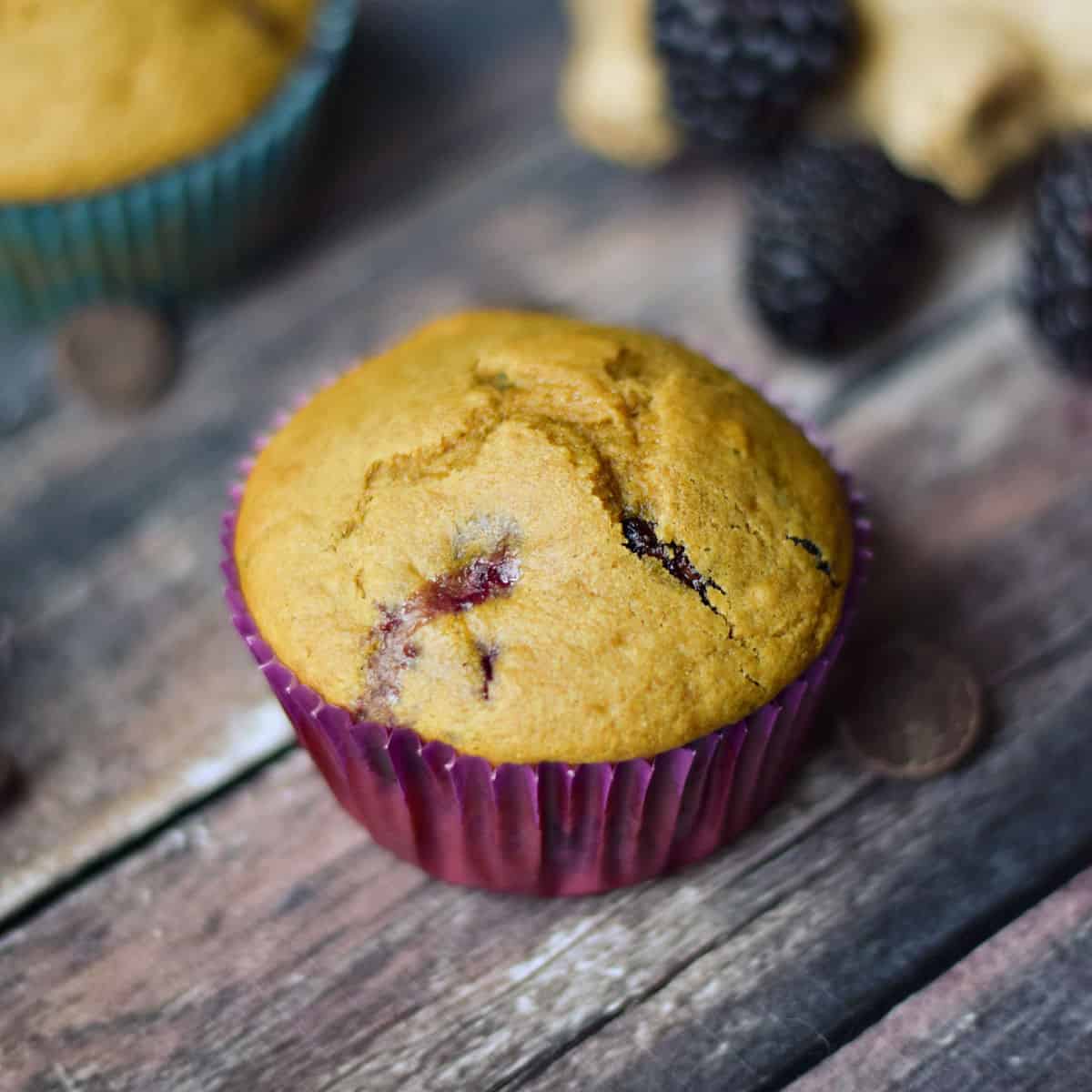 Two blackberry muffins surrounded by fresh blackberries and dark chocolate chips.