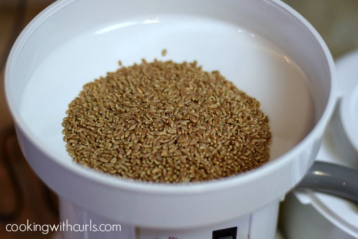Grain Mill Wheat Berries cookingwithcurls.com