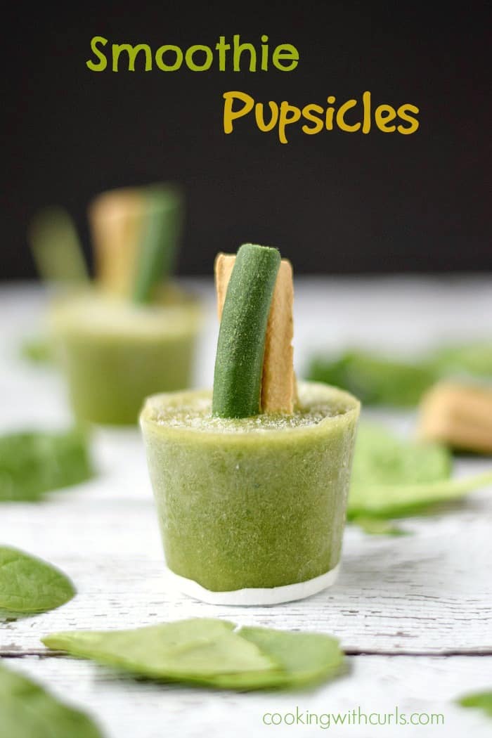Smoothie Pupsicles - Keep Fido cool and healthy this summer!! cookingwithcurls.com