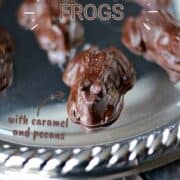 Seven chocolate frogs on a silver serving platter with title graphic across the top.