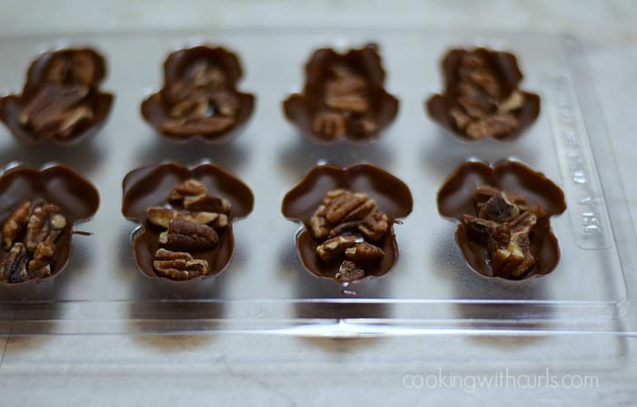 Pecans in the center of each chocolate frog mold.