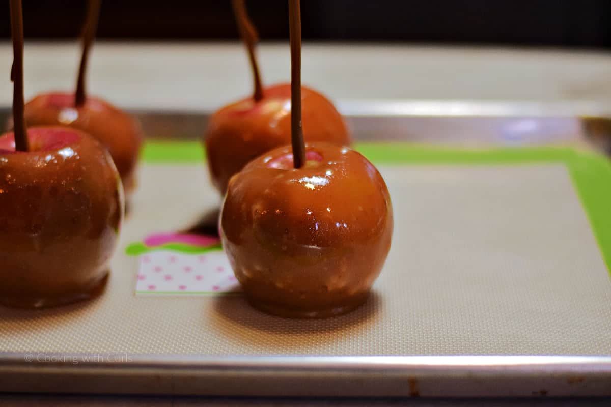 Four caramel dipped apple on a silicone lined baking sheet.