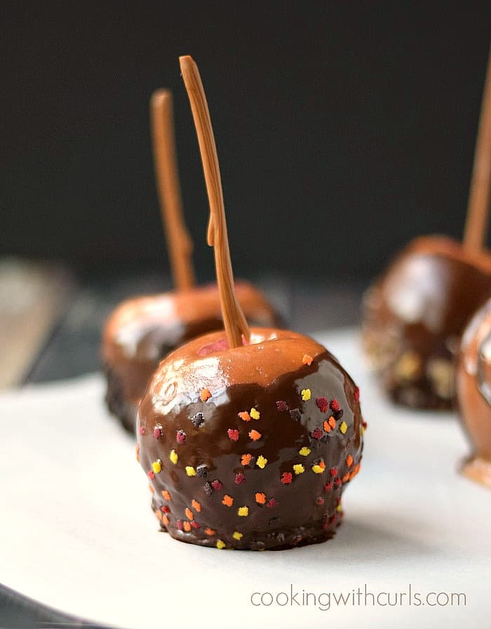 Gourmet Caramel Apples coated in caramel, melted chocolate, and topped with fall colored sprinkles