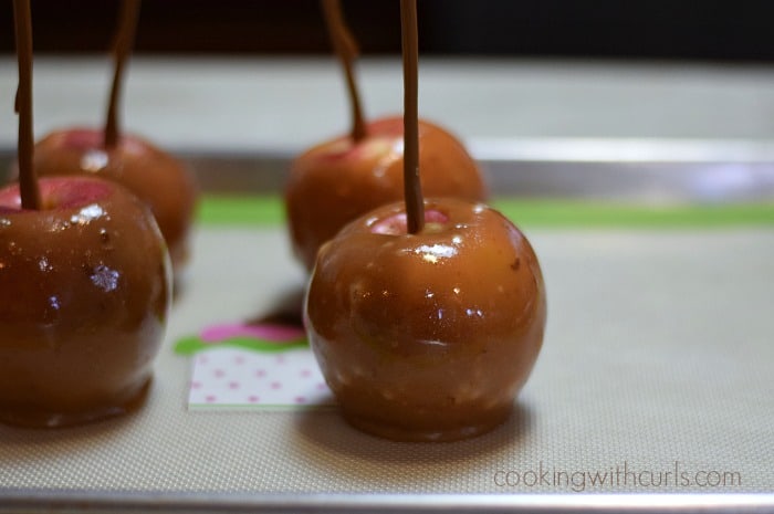 Four caramel dipped apples cooling on a silicone liner