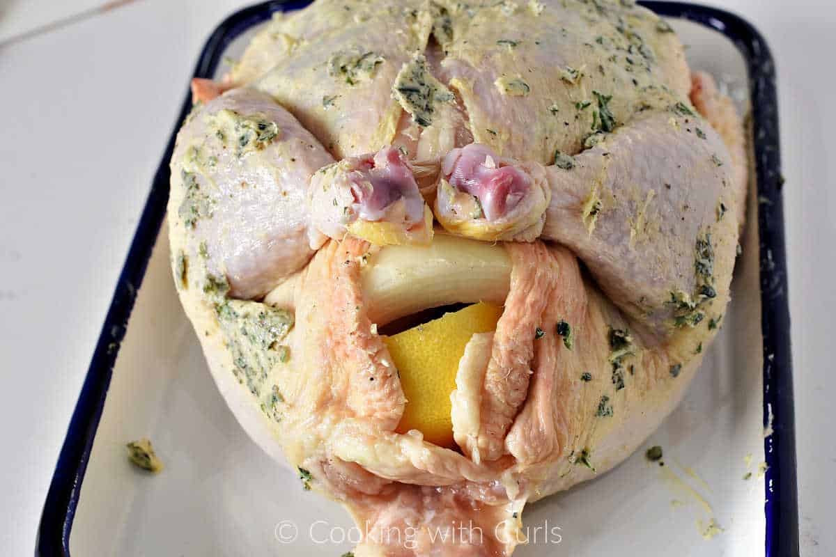 buttered-chicken-stuffed-with-lemon-and-onion-legs-tied-together-with-twine.