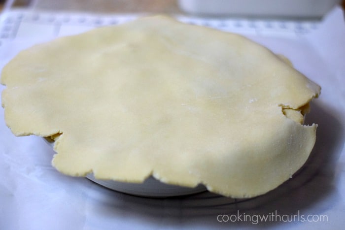 Turkey Pot Pie top cookingwithcurls.com