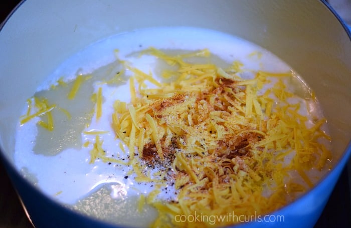 Grated cheddar cheese, milk, and spices added to the pureed soup in a large pot.