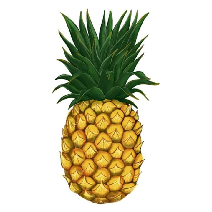 Pineapple graphic.