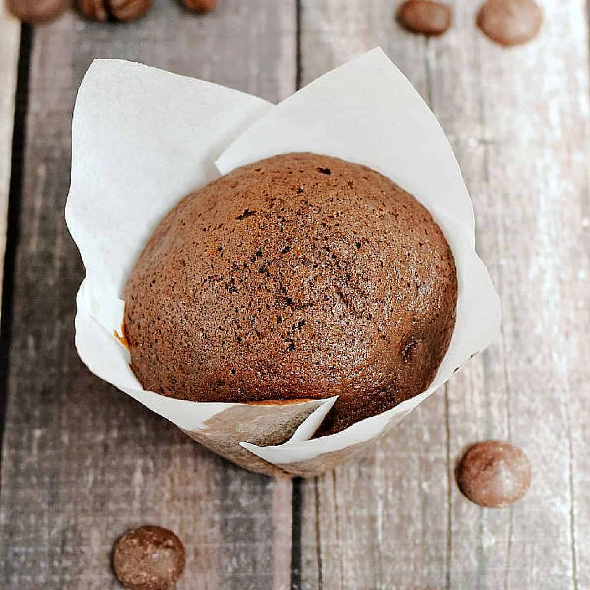 Chocolate muffin in white paper liner surrounded by coffee beans and dark chocolate chips.
