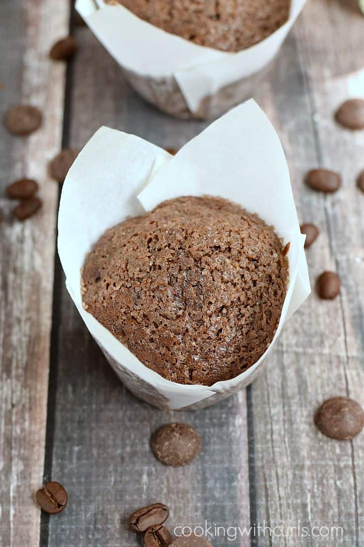 Two chocolate muffins in white paper liners surrounded by coffee beans.