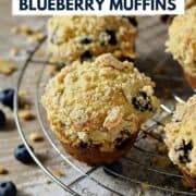 Five streusel topped blueberry muffins on a round wire cooling rack surrounded by fresh blueberries and title graphic across the top.