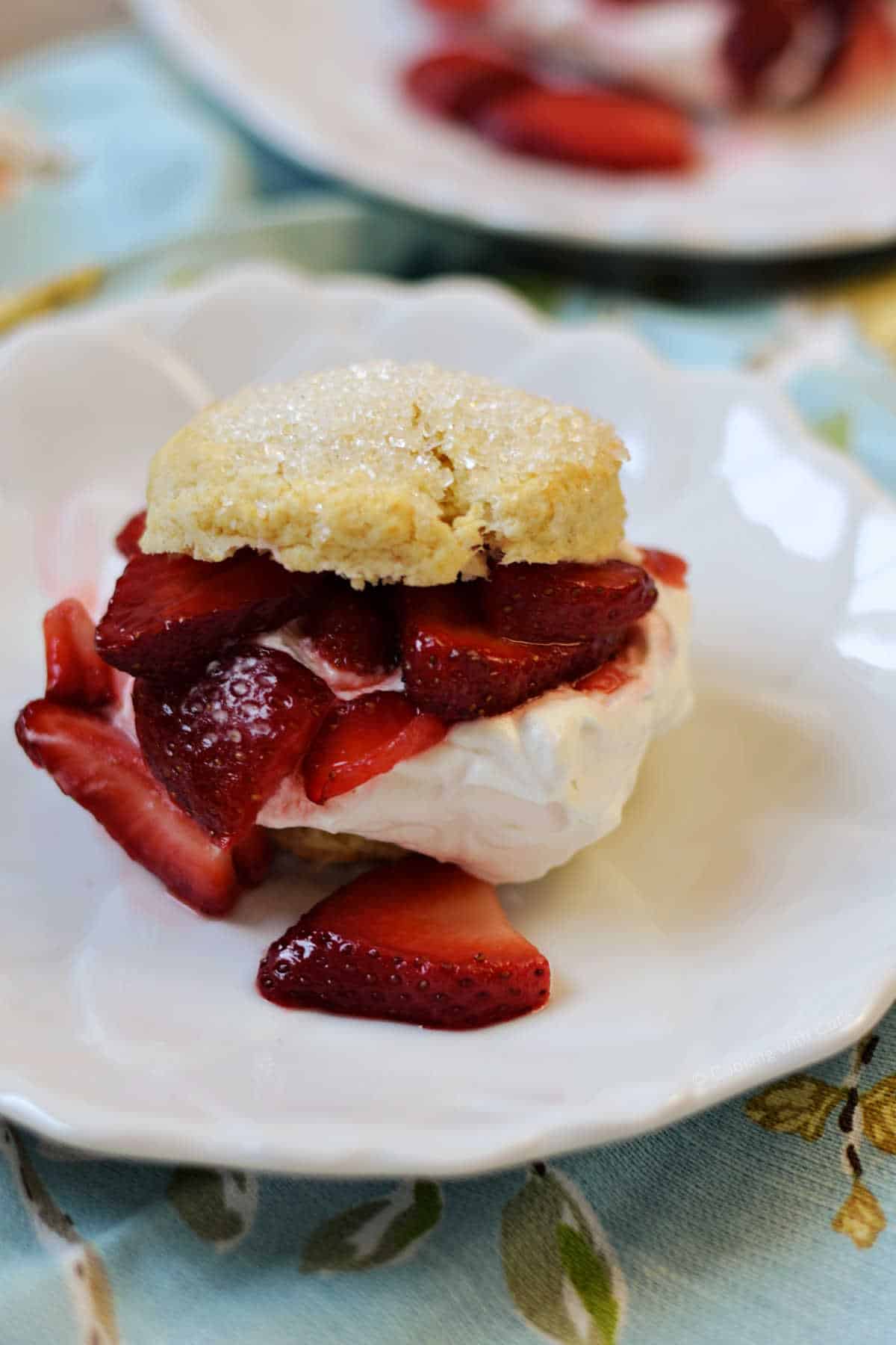 Two sugar topped biscuits cut in half and filled with whipped cream and sliced strawberries on a dessert plates.