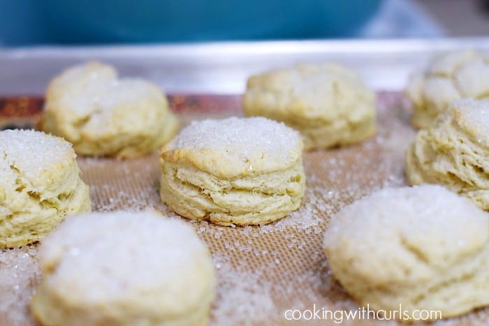 Eight baked biscuits on a silicone lined baking sheet.