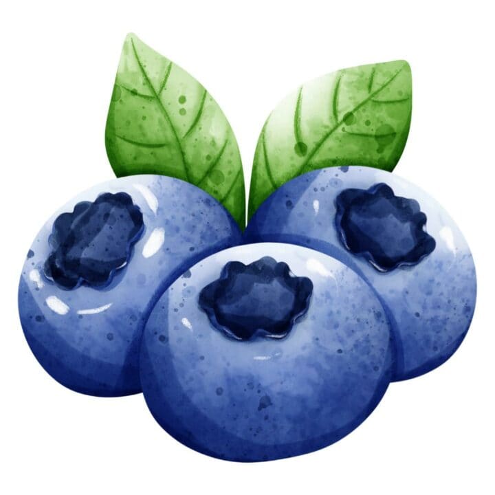 Blueberries graphic.