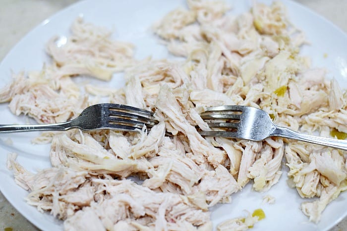 Cooke chicken shredded on a large plate with two forks.