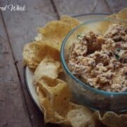 Bacon cheddar dip in a bowl surrounded by chips.