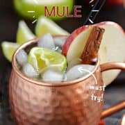 Apple Cider Moscow Mule garnished with an apple slice, cinnamon stick, and lime wedge in a copper mug with title graphic across the top.
