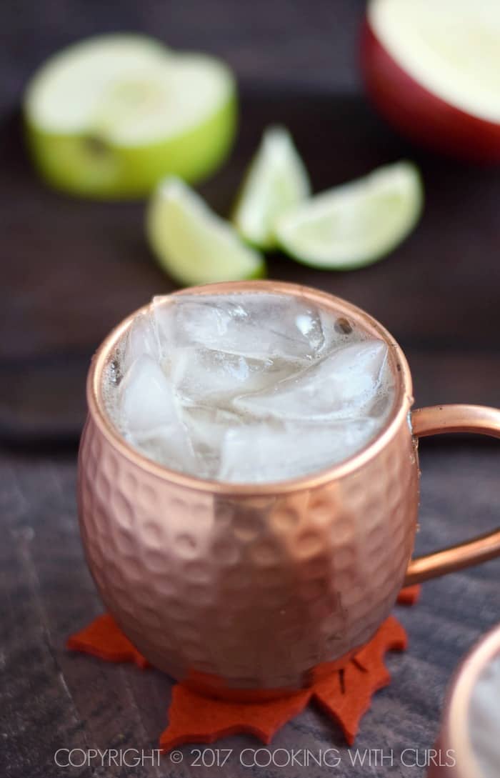 Apple Cider Mule ice | COPYRIGHT © 2017 COOKING WITH CURLS