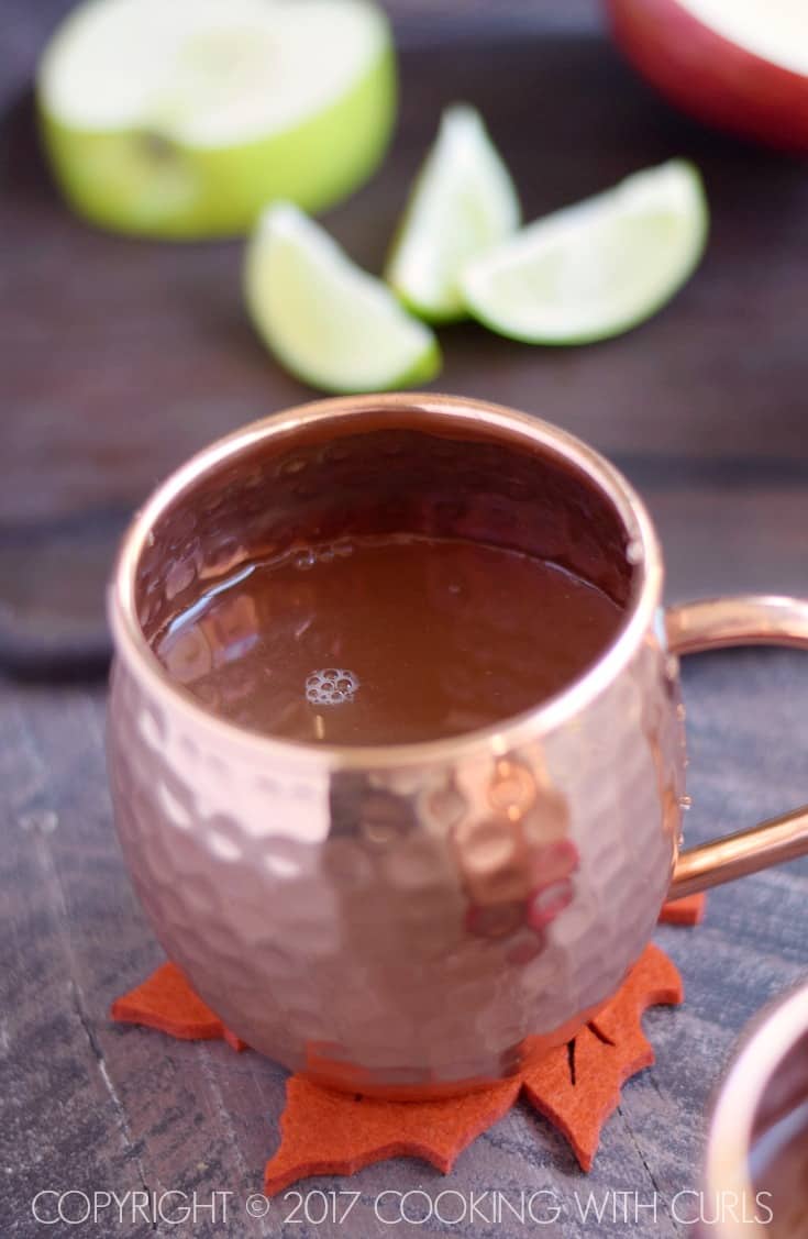 Apple Cider and vodka in a copper mug.