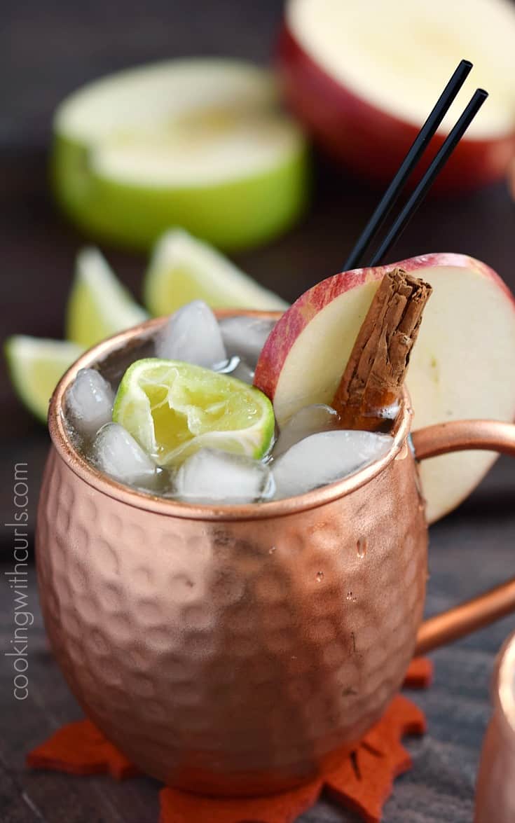 Celebrate the flavors of fall with a delicious Apple Cider Mule, complete with cinnamon sticks and apple slices | Copyright ® 2017 Cooking with Curls
