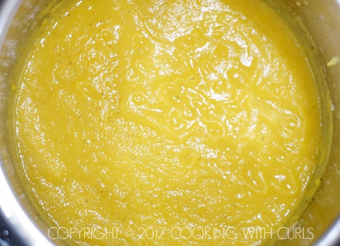 Instant Pot Butternut Squash and Apple Soup blend | COPYRIGHT © 2017 COOKING WITH CURLS