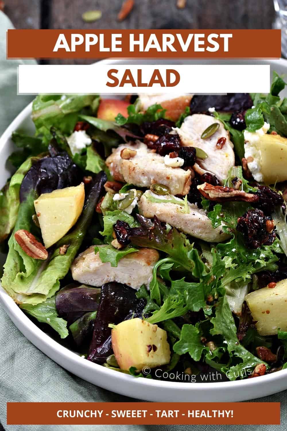 Apple Harvest Salad Cooking with Curls