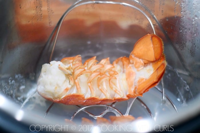 A steamed lobster tail in a pressure cooker.