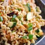Sesame Noodles with Grilled Chicken, Carrots and Zucchini can be served cold or at room temperature, making it perfect for picnics and potlucks! © COOKING WITH CURLS