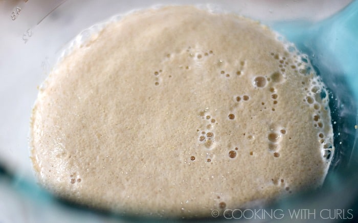 Proof the yeast in a large bowl © COOKING WITH CURLS