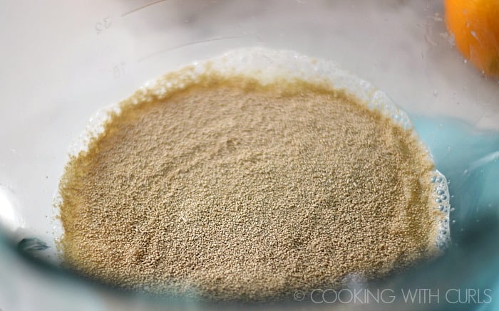 Sprinkle yeast over the warm water in a large bowl © COOKING WITH CURLS