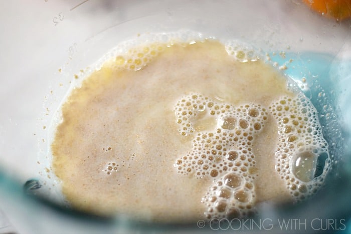 Stir yeast and warm water together in a large bowl © COOKING WITH CURLS