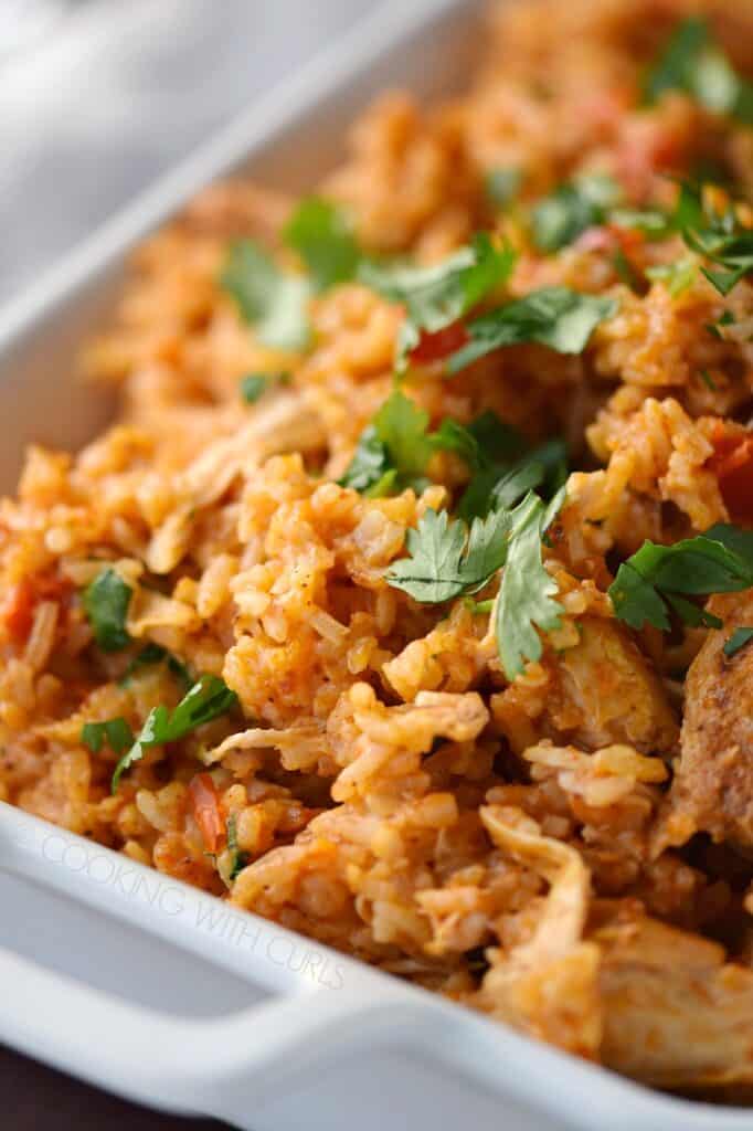 Instant Pot Tandoori Spiced Chicken and Rice Cooking with Curls