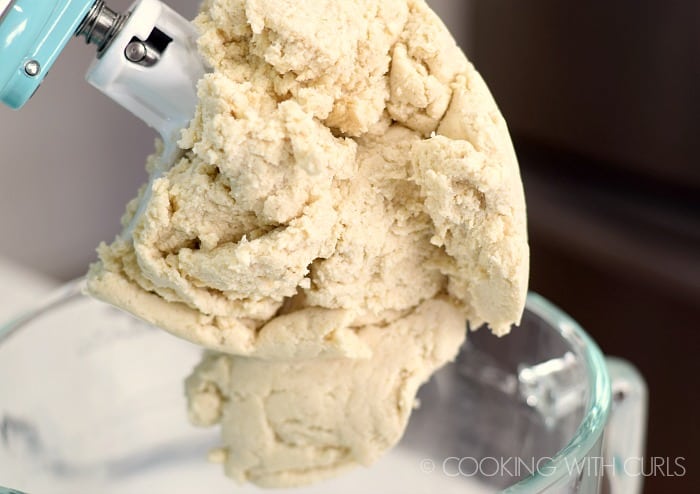 Ball of masa dough mixed up in a mixer © COOKING WITH CURLS