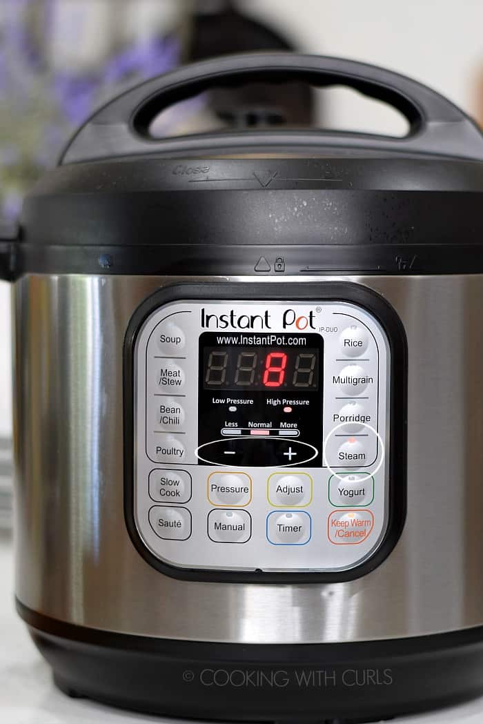 set instant pot for 5 minutes