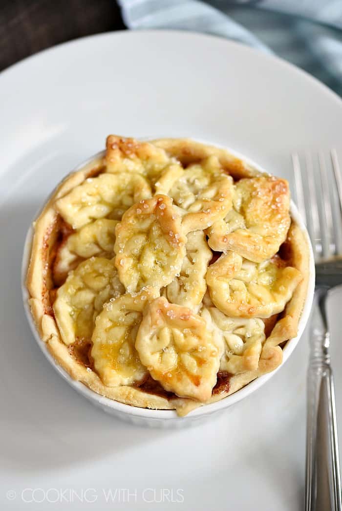 Apple Pie for Two...or for just one if you do not feel like sharing! cookingwithcurls.com