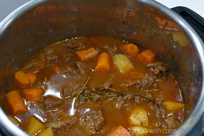 Stew once it has been cooked.