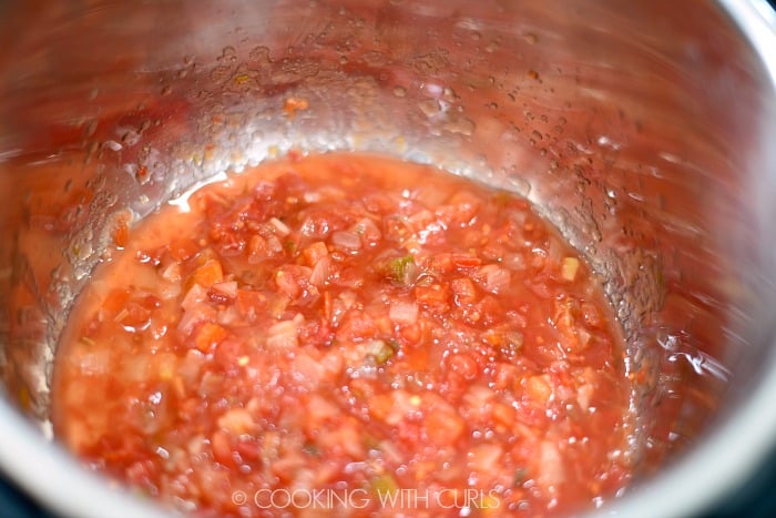 Pour half of the salsa into the liner of the pressure cooker.