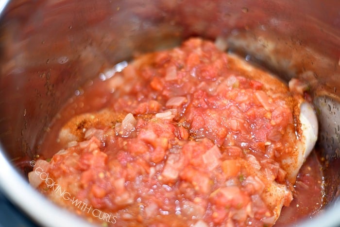 Pour the remaining salsa over the seasoned chicken in the pressure cooker.