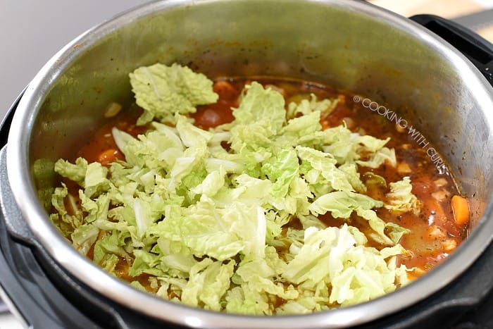 Stir the cabbage into the soup cookingwithcurls.com