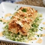 Macadamia Nut Crusted Mahi-Mahi drizzled with Sweet Chili Lime Butter Sauce on a bed of cauliflower rice on a white, square plate